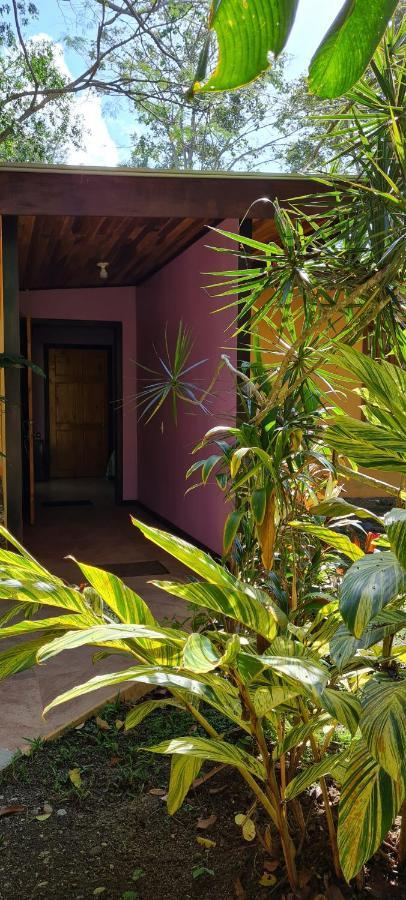 Ciudad Perdida EcoLodge Cahuita Exterior foto