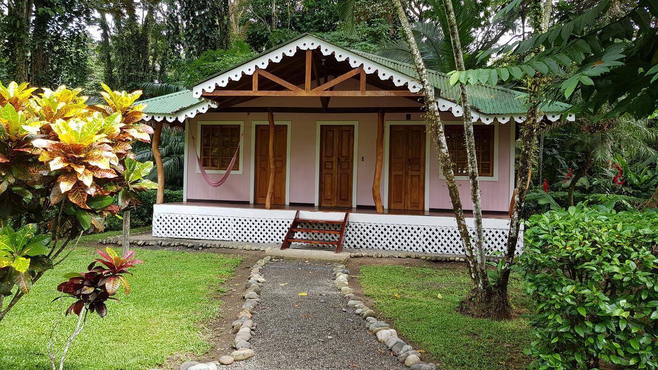 Ciudad Perdida EcoLodge Cahuita Exterior foto