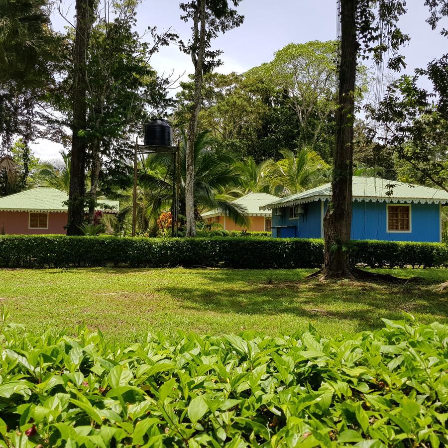 Ciudad Perdida EcoLodge Cahuita Exterior foto