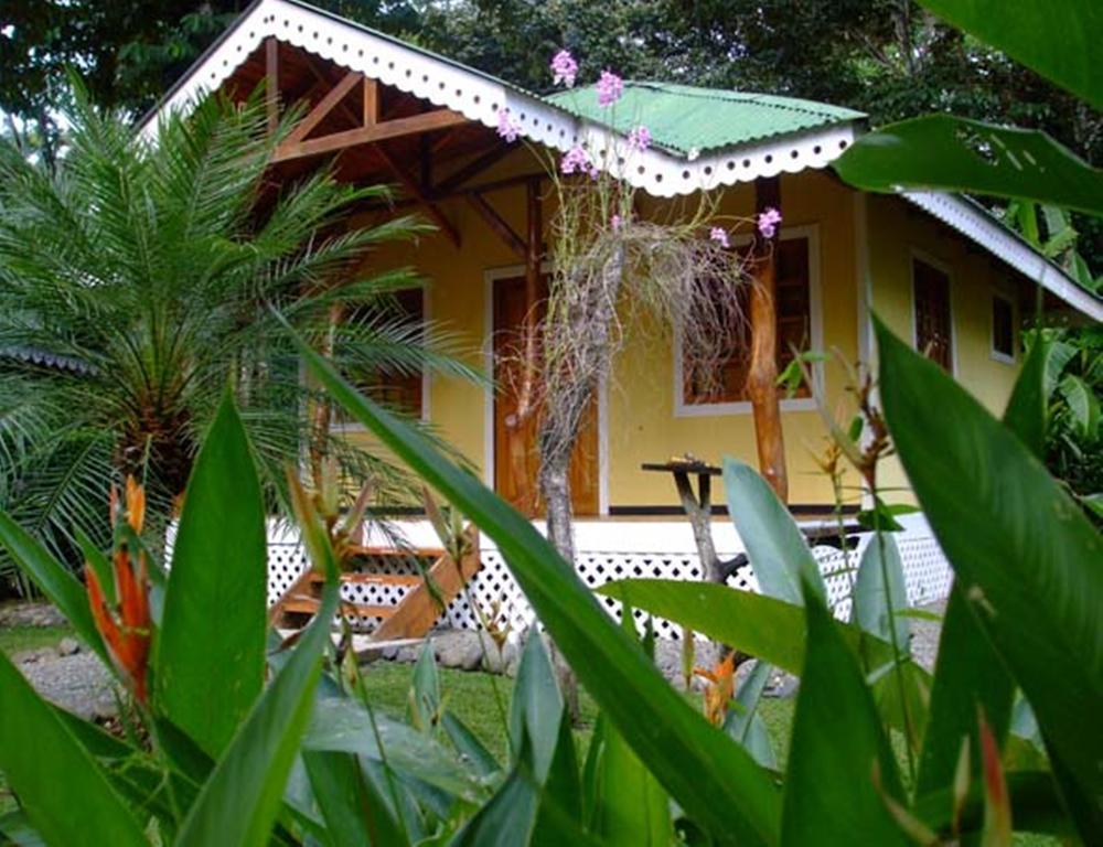 Ciudad Perdida EcoLodge Cahuita Exterior foto